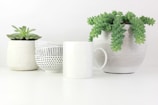 white ceramic cup on white surface