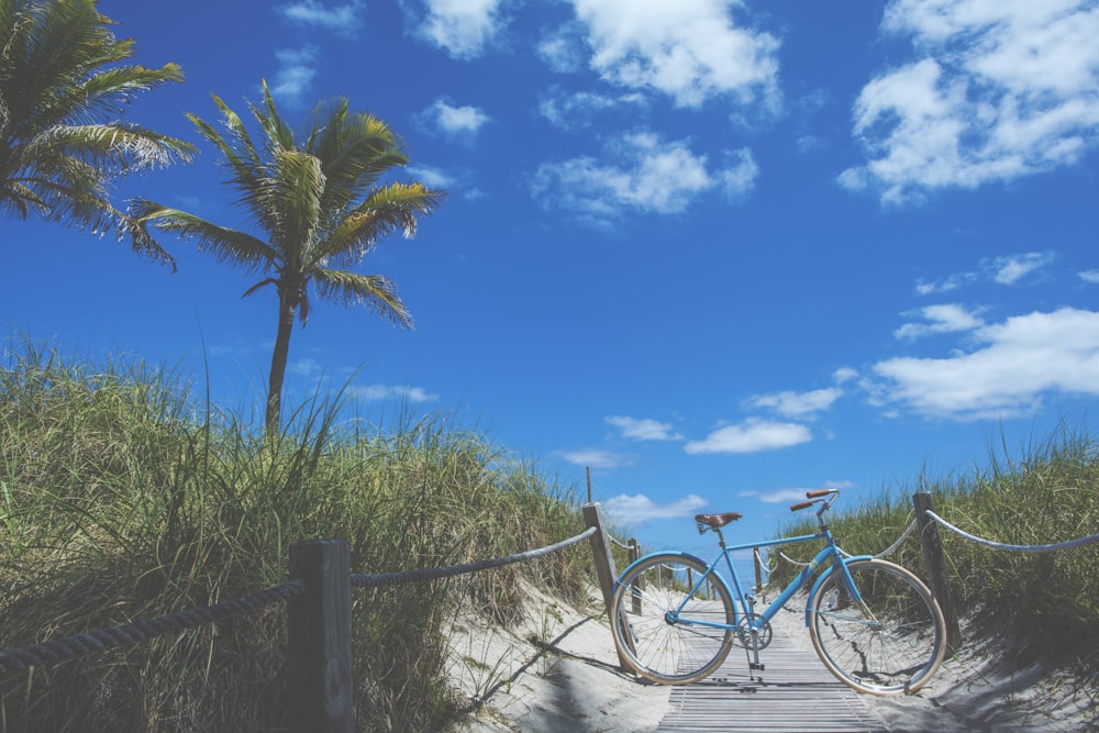 blue bike on pathway