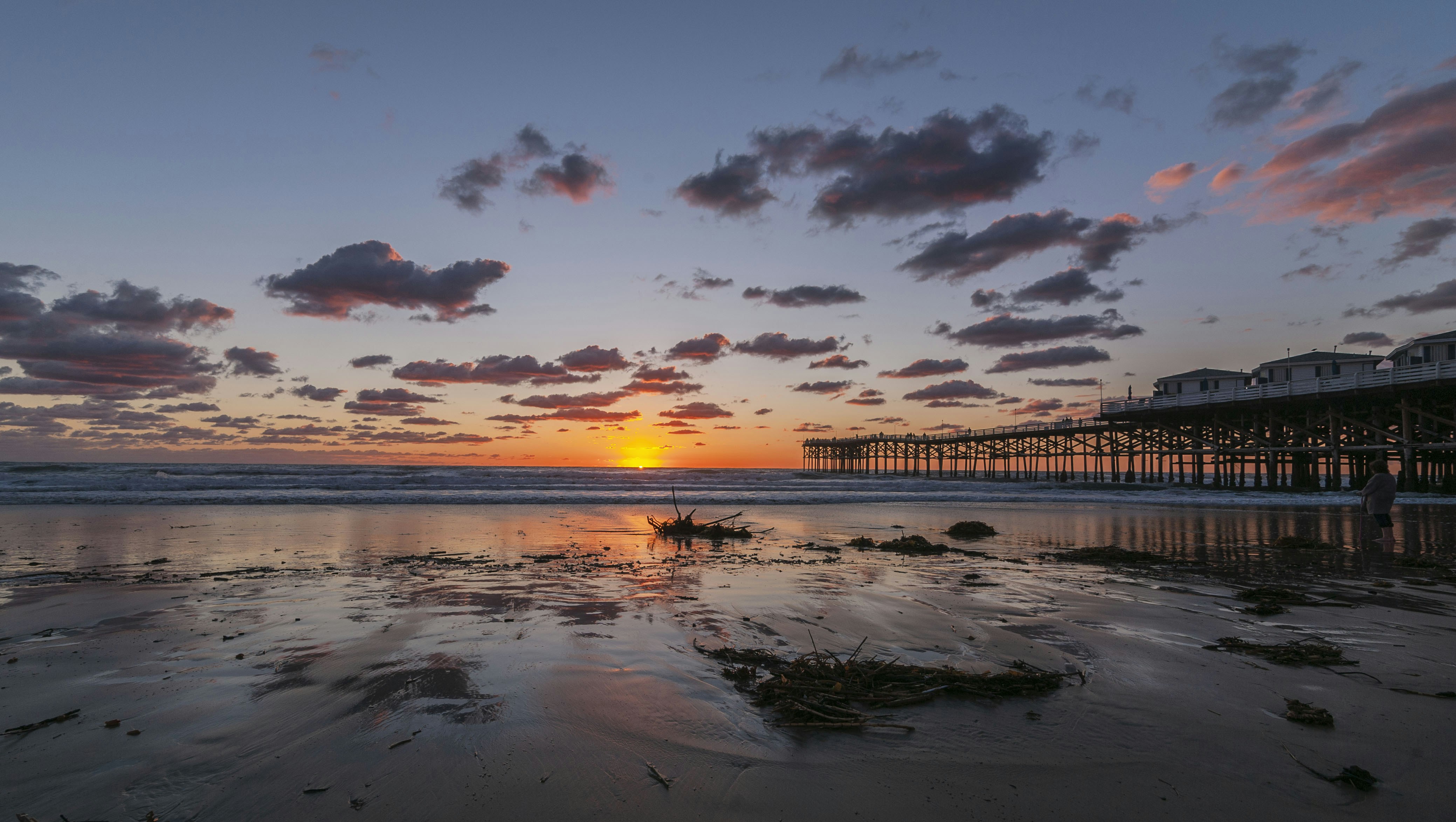 Photo by romangphotography