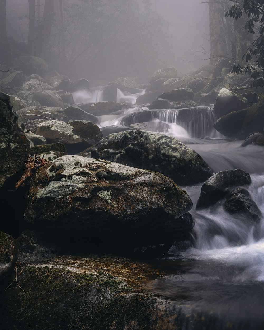 flowing stream during foggy weather