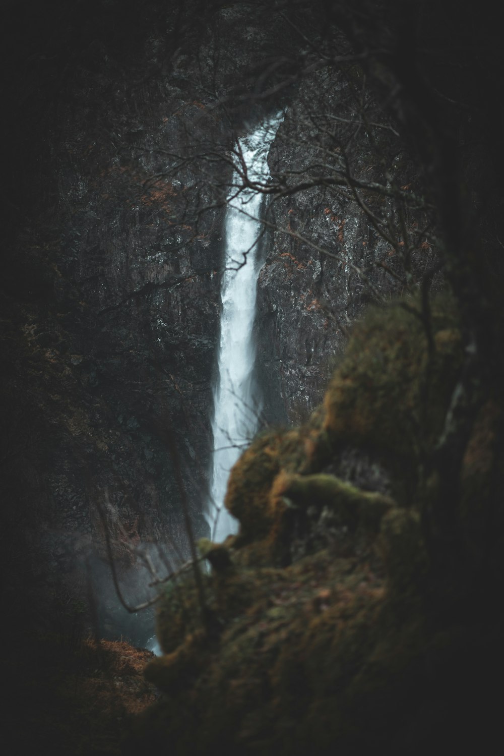 waterfalls behind trees