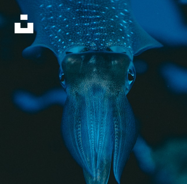 UnsplashのJonathan Diemelが撮影した写真