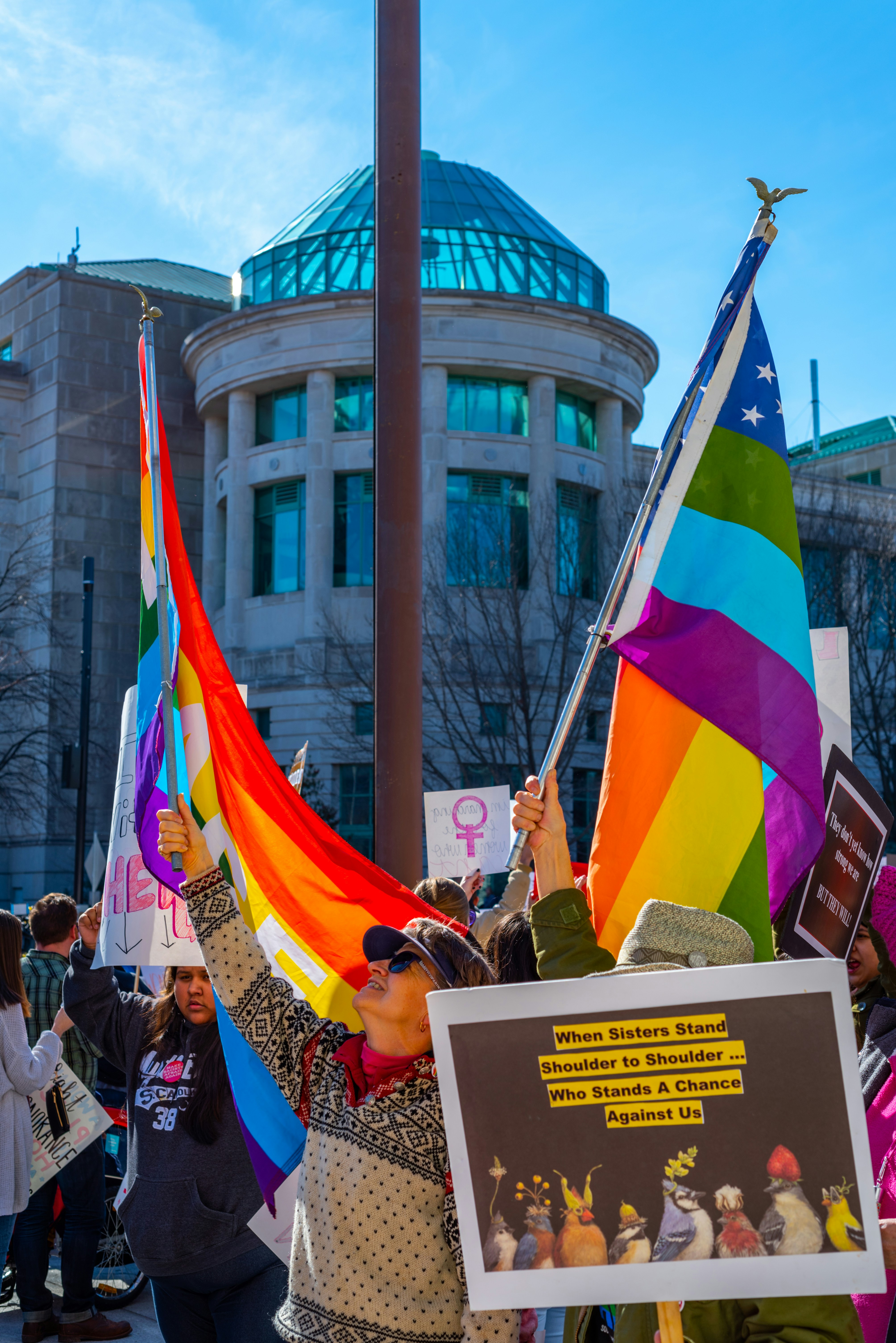 crowd showing flags and signages outside during daytime