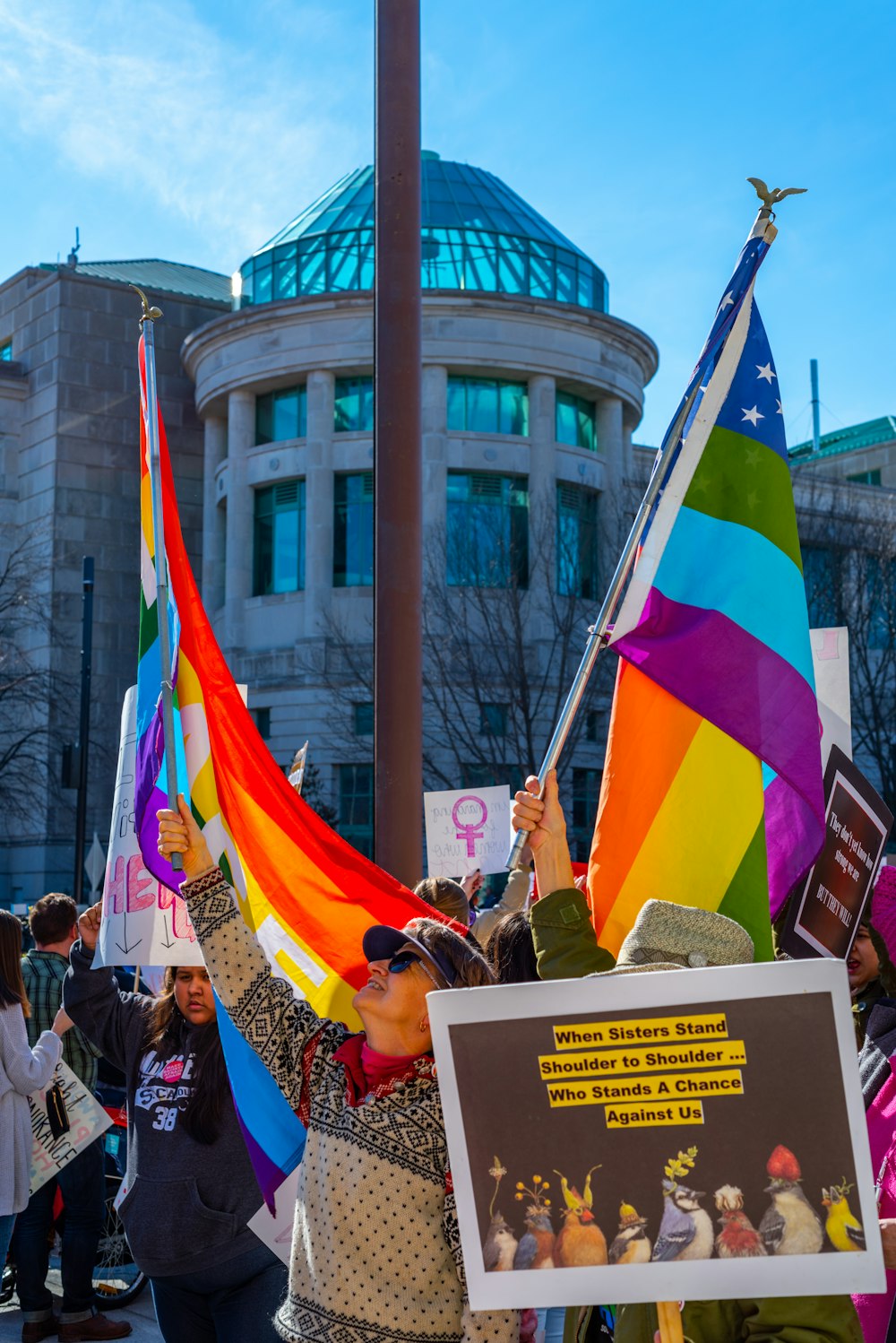 crowd showing flags and signages outside during daytime