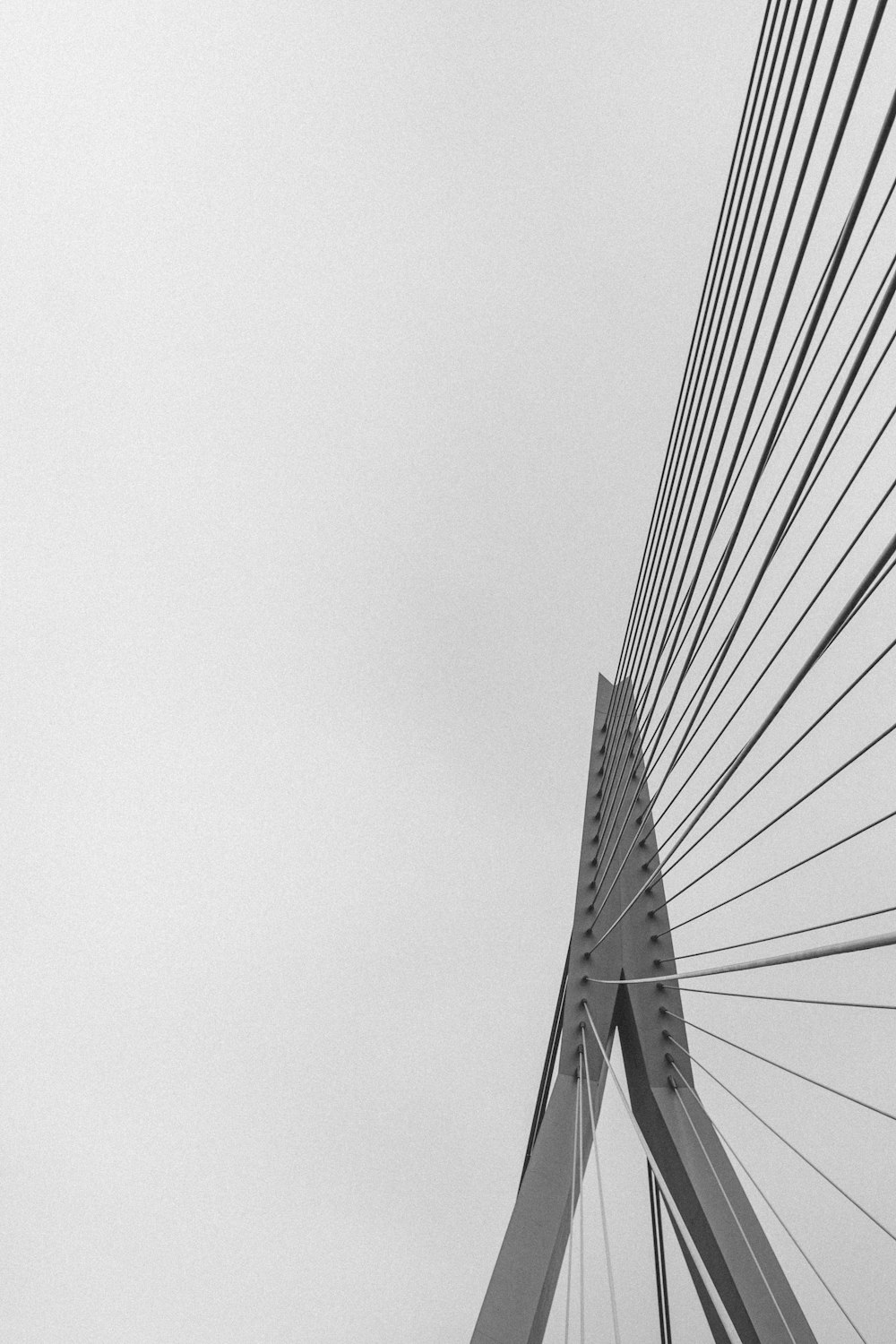 a black and white photo of the top of a bridge