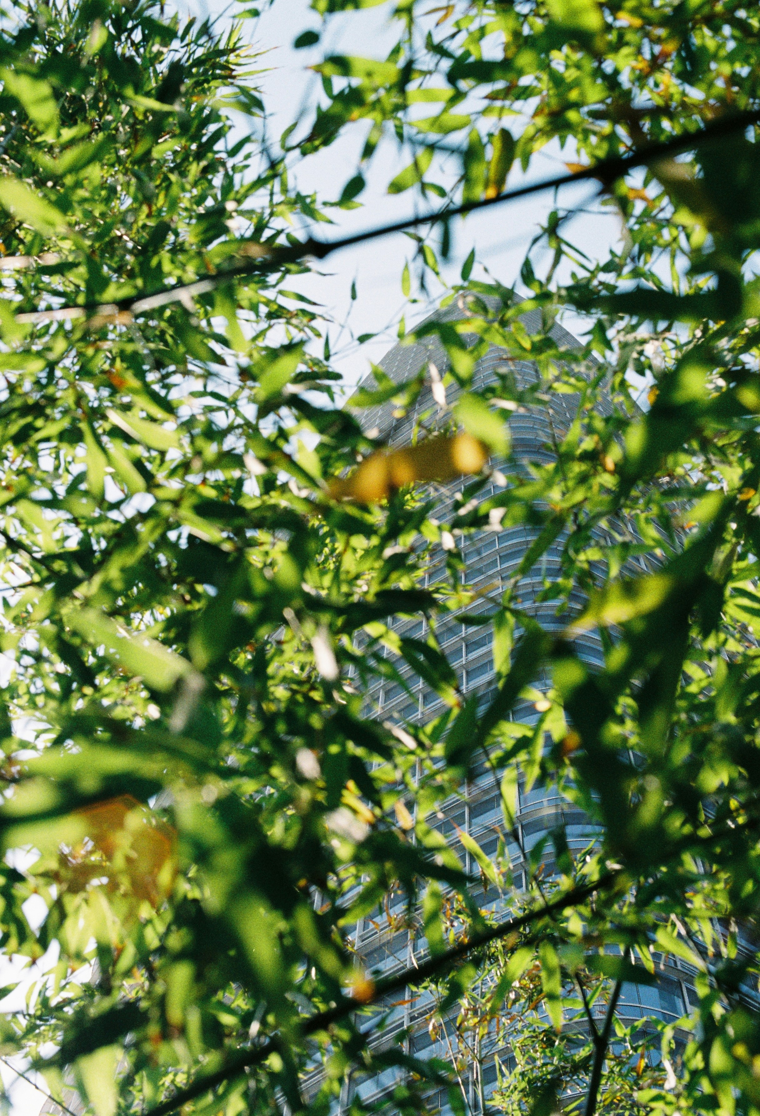 Photo by malayasadler