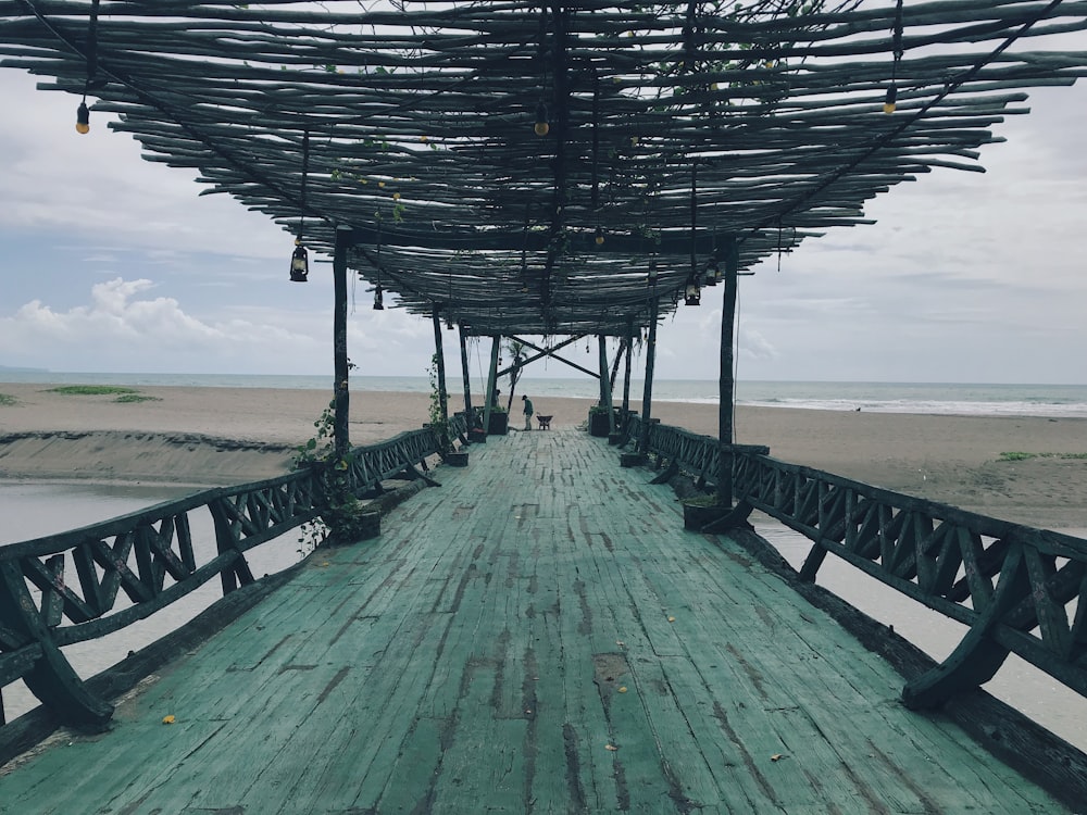 brown wooden dock during daytimr