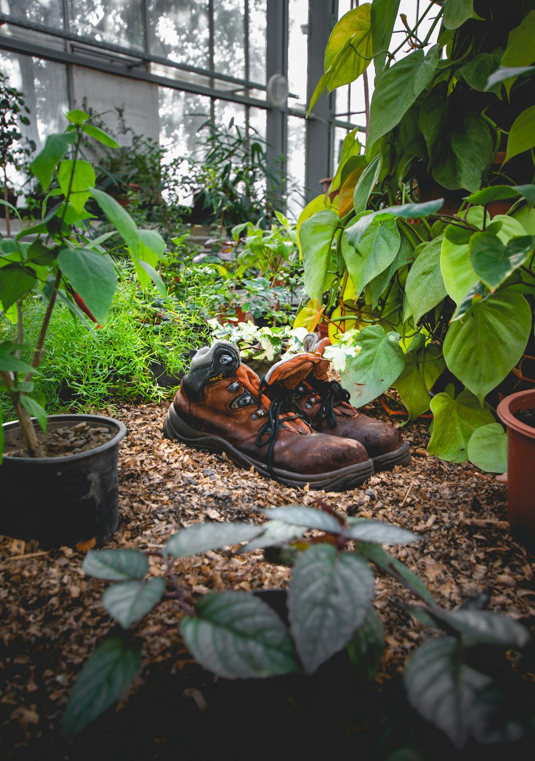 pair of brown leather lace-up boots near green plants