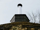 Close-up of a clean chimney flue after a meticulous sweep in a cozy Winter Haven home.