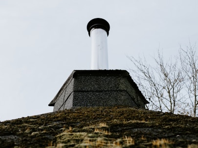 A close-up view of a chimney on top of a building with a moss-covered roof. The sky is overcast, giving a sense of an early spring or late autumn day. In the background, leafless branches of a tree can be seen.