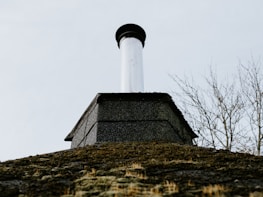 A close-up view of a chimney on top of a building with a moss-covered roof. The sky is overcast, giving a sense of an early spring or late autumn day. In the background, leafless branches of a tree can be seen.