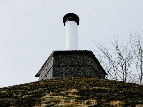 A close-up view of a chimney on top of a building with a moss-covered roof. The sky is overcast, giving a sense of an early spring or late autumn day. In the background, leafless branches of a tree can be seen.