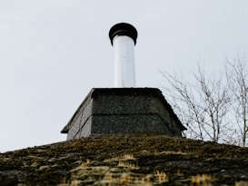 A close-up view of a chimney on top of a building with a moss-covered roof. The sky is overcast, giving a sense of an early spring or late autumn day. In the background, leafless branches of a tree can be seen.