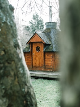 Guests relaxing peacefully inside a hexagonal cabin surrounded by nature.