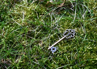brass-color skeleton key on green grass