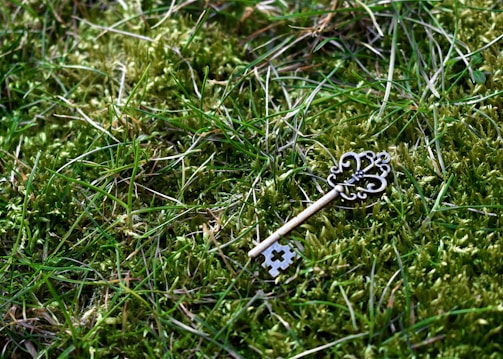 brass-color skeleton key on green grass