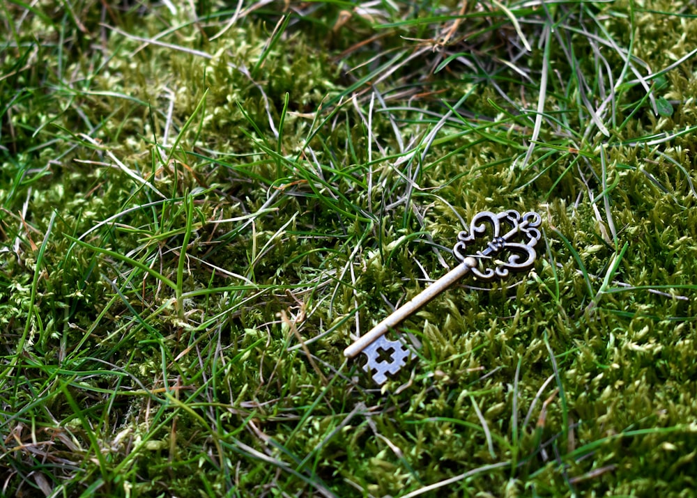 brass-color skeleton key on green grass