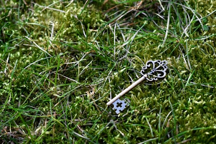 brass-color skeleton key on green grass