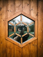 Photo of a skilled worker installing a custom wooden door in a modern home.