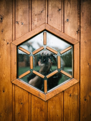 A wooden door with a hexagonal window composed of smaller wooden segments and clear glass. The reflection of a person taking a photograph is visible in the glass. The wood has a warm, rich tone with visible grain and knots.