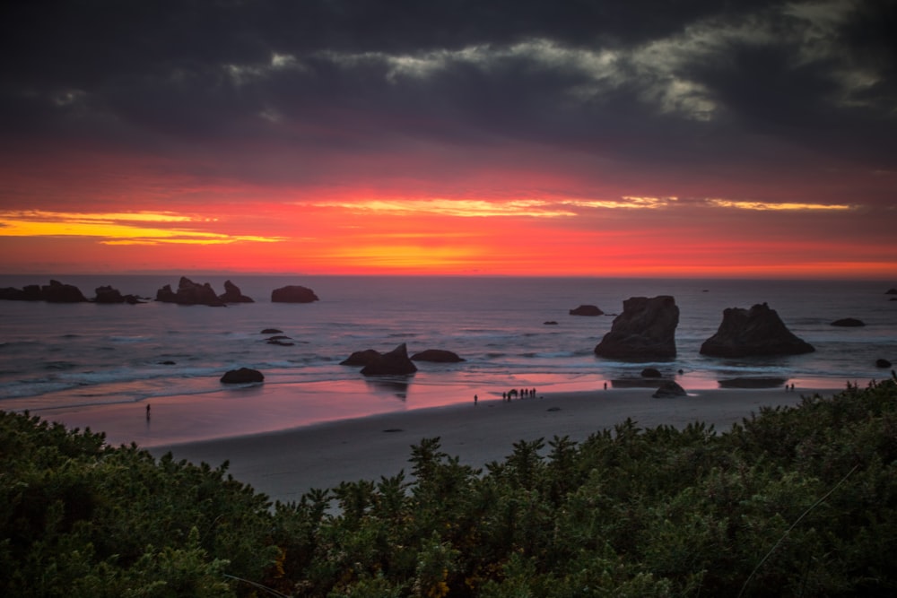 seashore across horizon during dawn