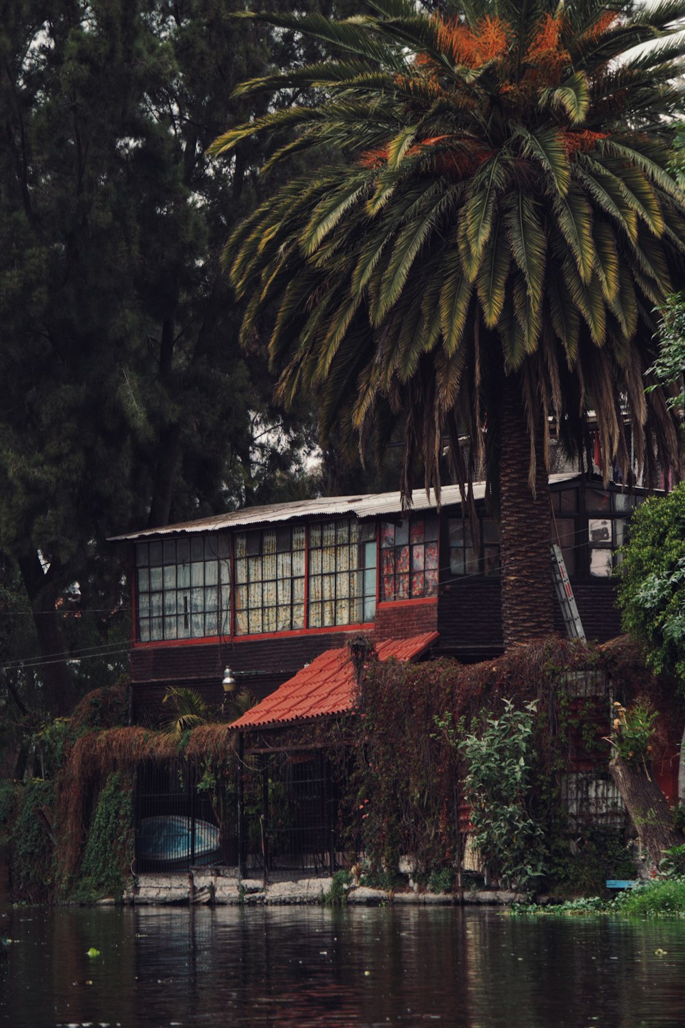 brown house beside body of water