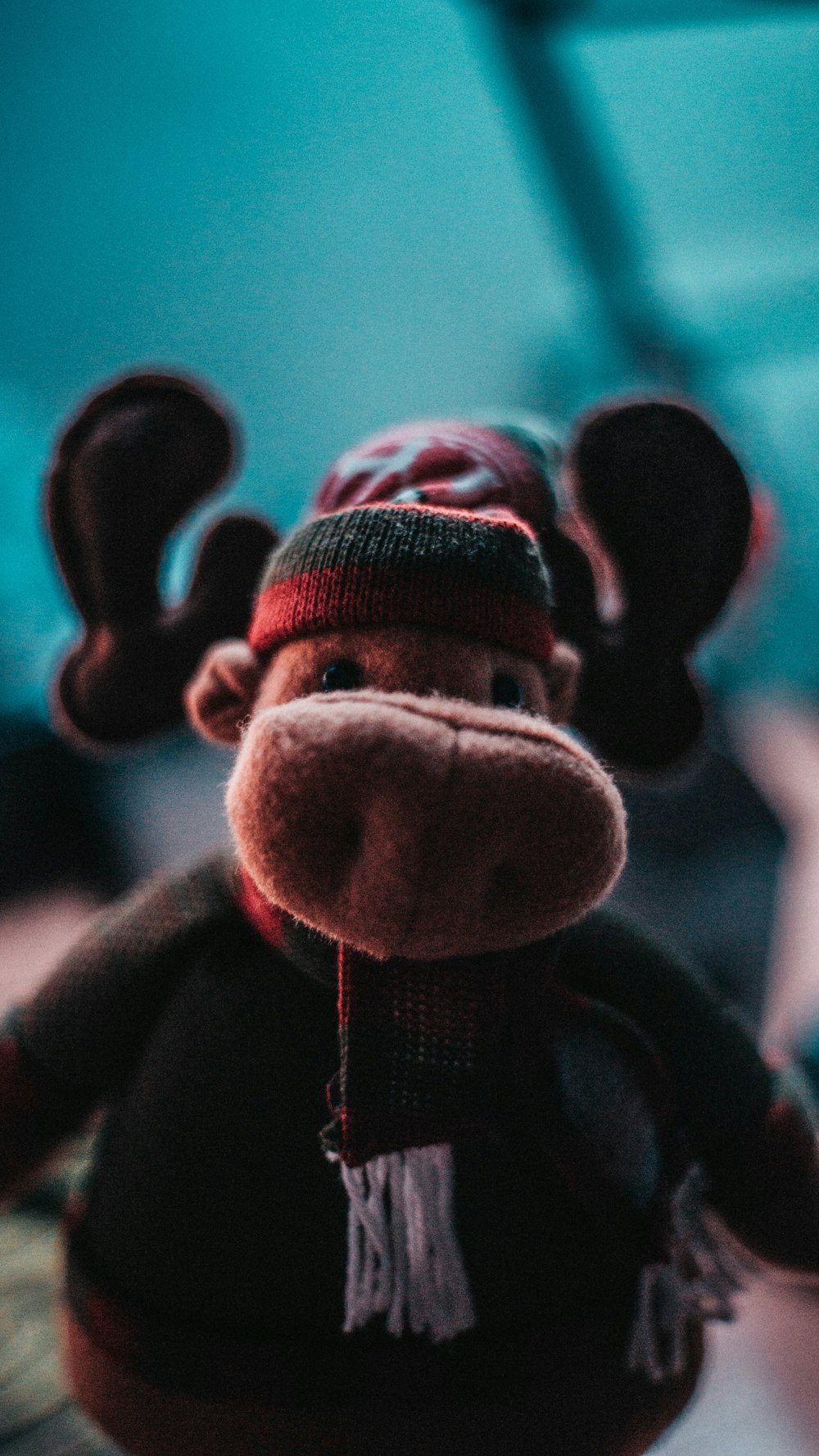 black and brown moose plush toy