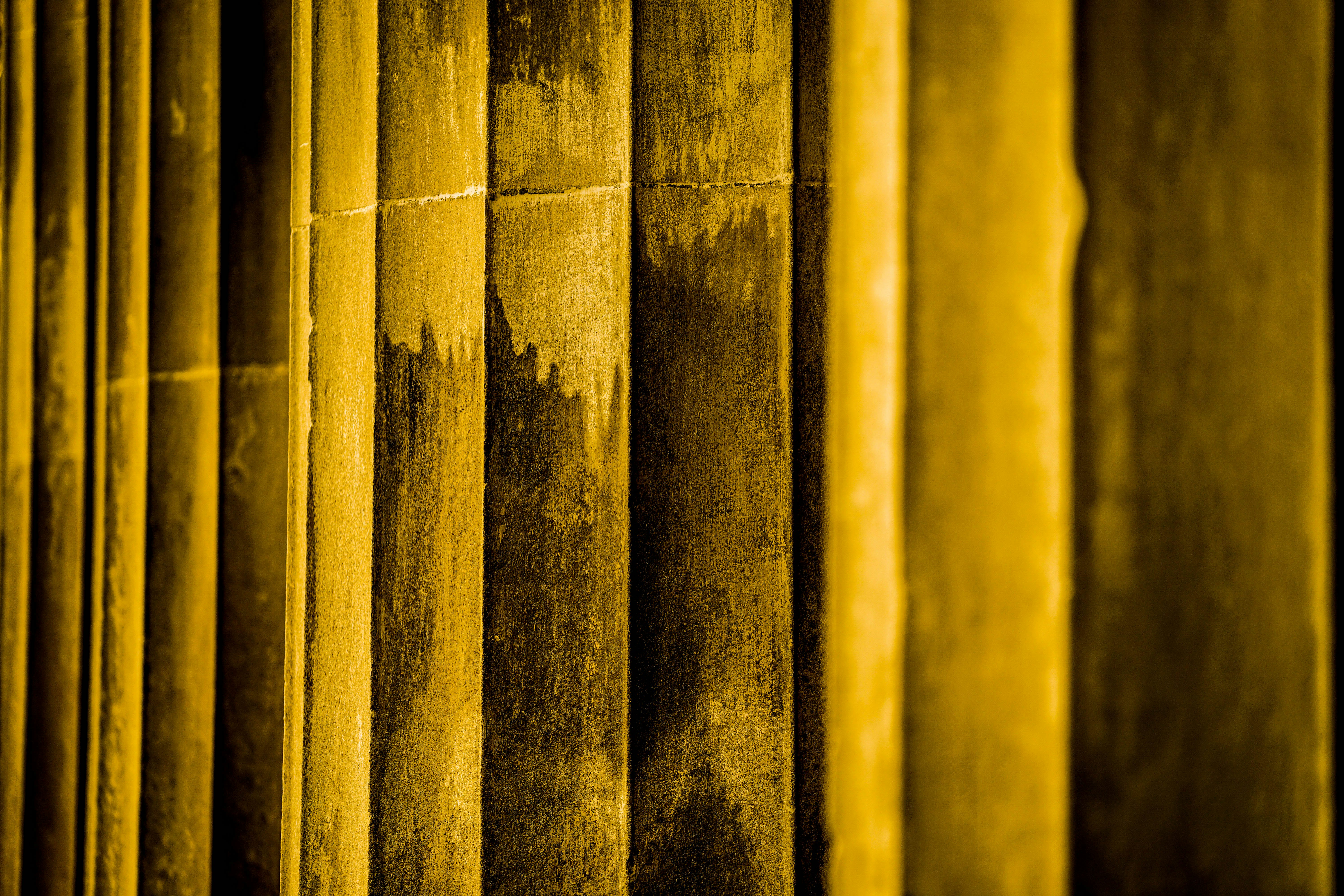 Photo by taiscaptures