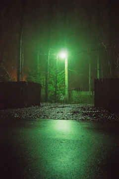 A foggy forest path illuminated by eerie green light.
