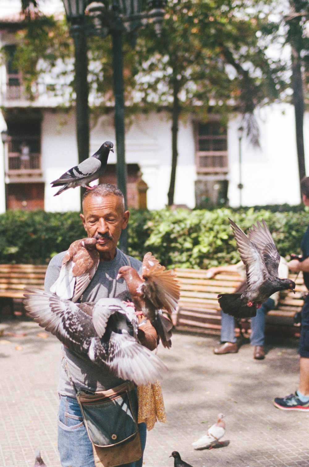 man playing with birds