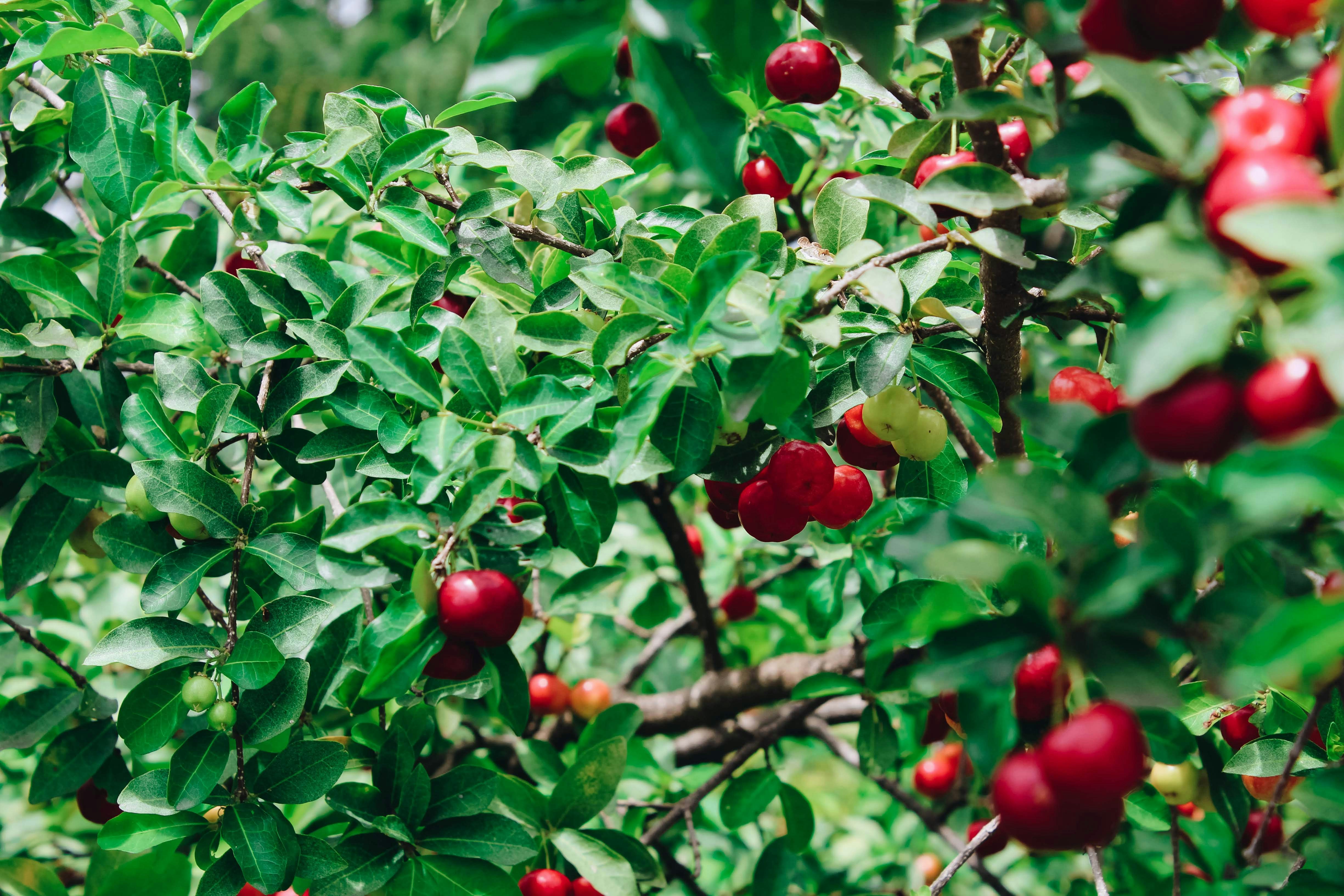 Photo by honeyyanibel