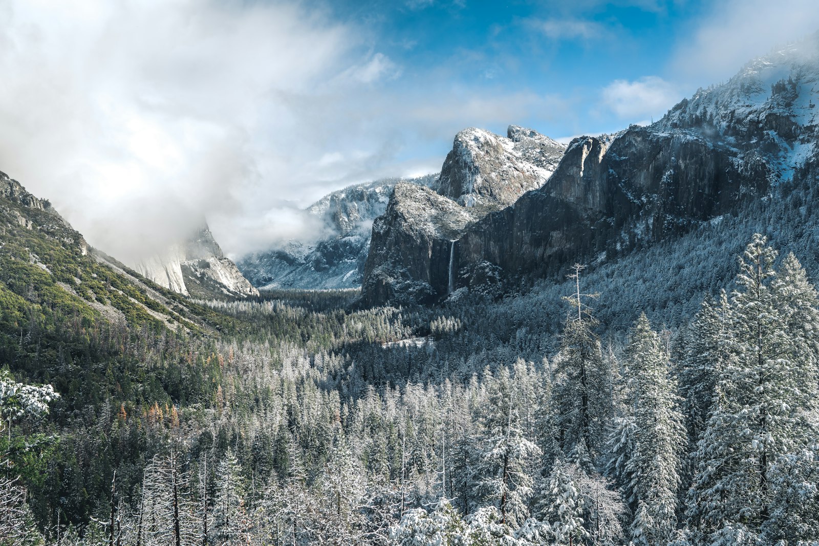 Sony a7R II + Sony Distagon T* FE 35mm F1.4 ZA sample photo. Woods across cloudy mountains photography