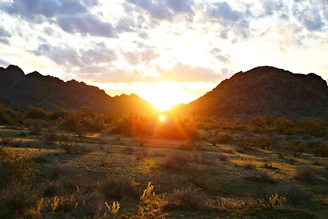 A tranquil sunrise over the Pahrump desert, bathing the landscape in soft pink and orange hues.