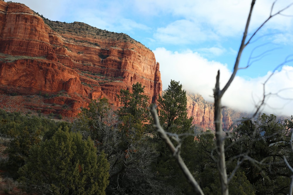 rock mountains near forest