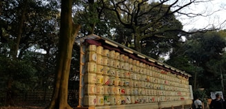 Rows of traditional sake barrels are displayed on a long wooden structure set against a forest backdrop. The barrels are ornately decorated with Japanese characters and motifs. The surrounding trees have dense green foliage, and some people are visible near the display, suggesting a serene, cultural setting.