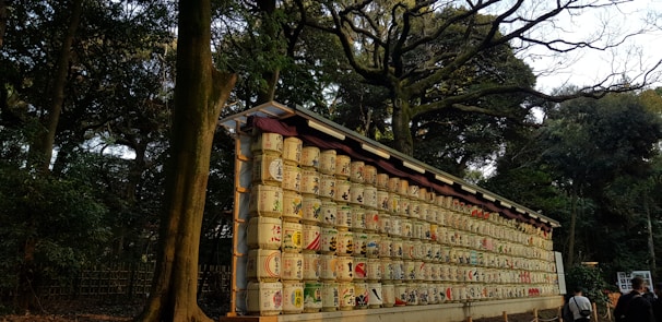 Rows of traditional sake barrels are displayed on a long wooden structure set against a forest backdrop. The barrels are ornately decorated with Japanese characters and motifs. The surrounding trees have dense green foliage, and some people are visible near the display, suggesting a serene, cultural setting.