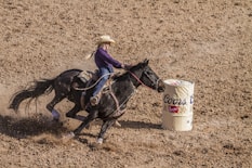 woman riding on black horse on brown field