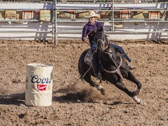 A cowboy wearing a hat and a purple shirt is riding a black horse at a rodeo event. The horse is turning sharply around a Coors Banquet barrel on a dirt arena, kicking up dust as it moves. In the background, there are advertisements and metal fencing.