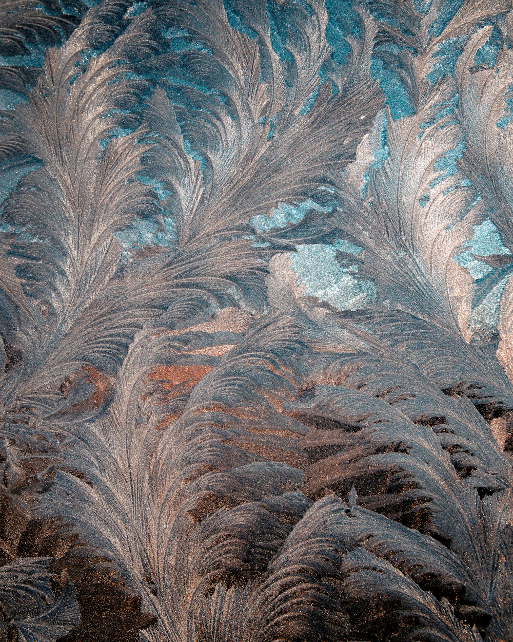 blue and gray floral cloth