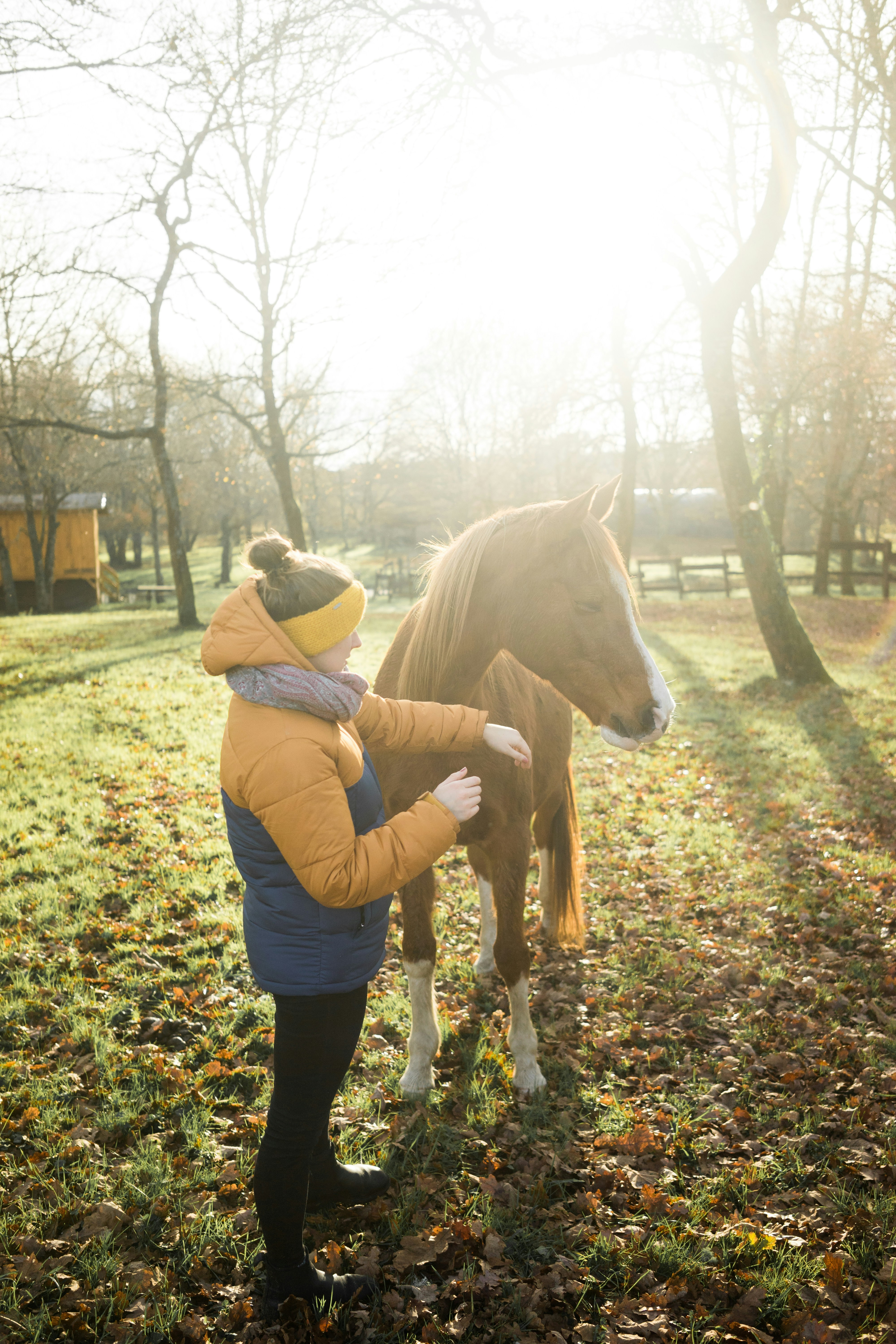 person standing beside horse near bare trees during day