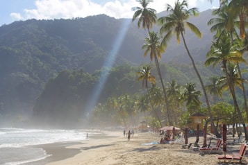 A tropical beach with golden sand is lined with tall palm trees, creating a tranquil and idyllic setting. The sunlight streams through the foliage, casting a warm glow over the scene. People can be seen relaxing on beach chairs and walking along the shoreline. The background features lush, green hills rising into the misty sky.