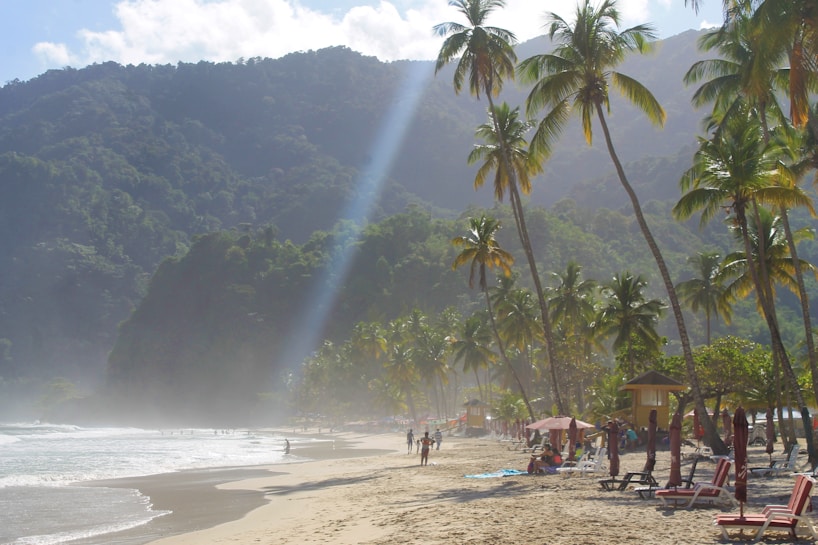 A tropical beach with golden sand is lined with tall palm trees, creating a tranquil and idyllic setting. The sunlight streams through the foliage, casting a warm glow over the scene. People can be seen relaxing on beach chairs and walking along the shoreline. The background features lush, green hills rising into the misty sky.