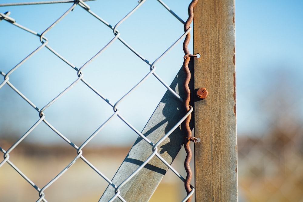 closeup photography of nail stumped on wood beside wire-link fence