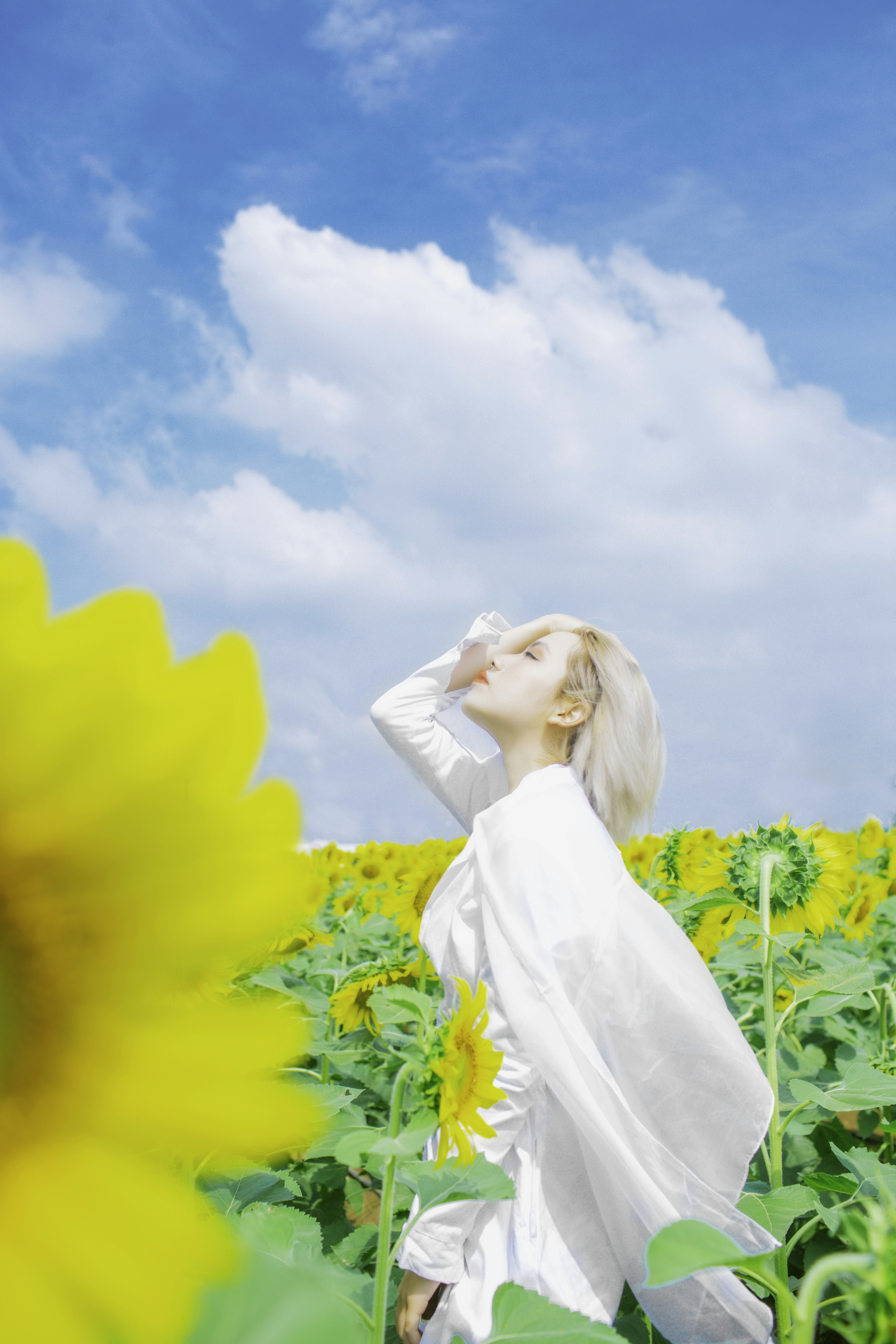 Photo by tamcolourful