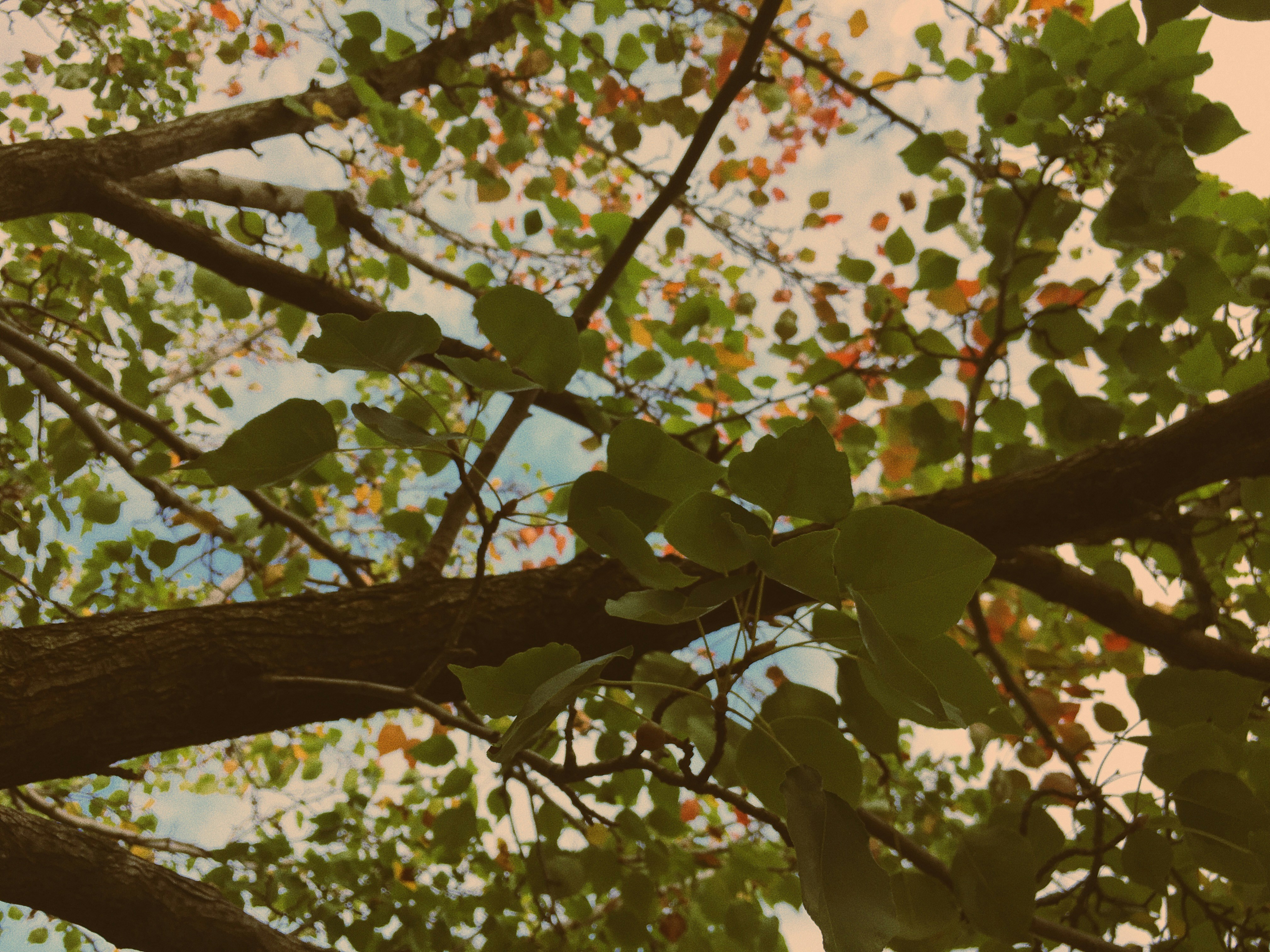 photo-1551951871-d8da2cbf417a?ixlib=rb-1.2.1&ixid=eyJhcHBfaWQiOjEyMDd9&auto=format&fit=crop&w=1334&q=80