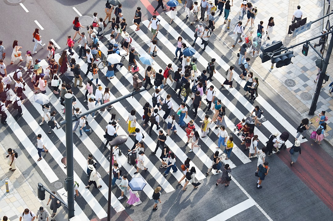 people passing on pedestrian lane at daytime