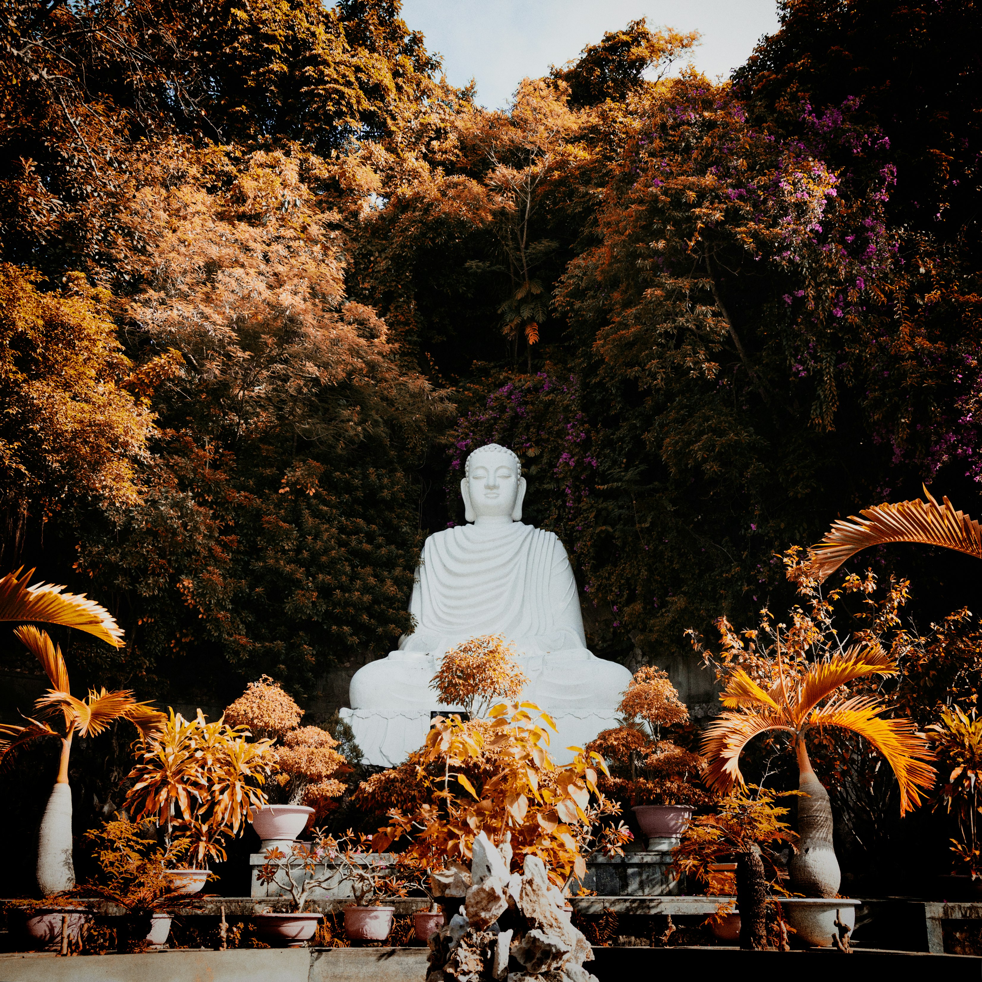 Buddha statue