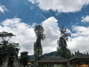 Scenic view of green hills and traditional architecture in Manipur.