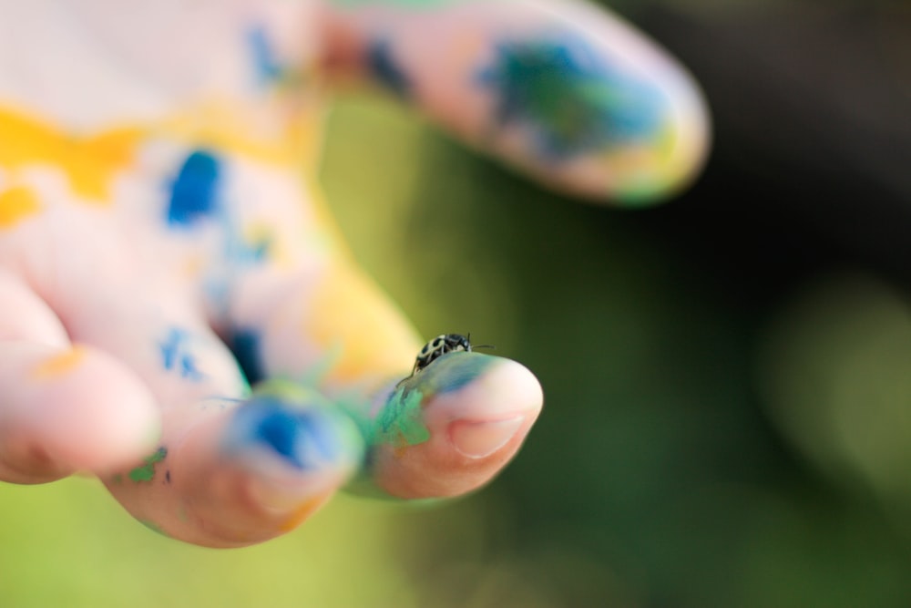 Makrofotografie des schwarzen Käfers am Zeigefinger der Person