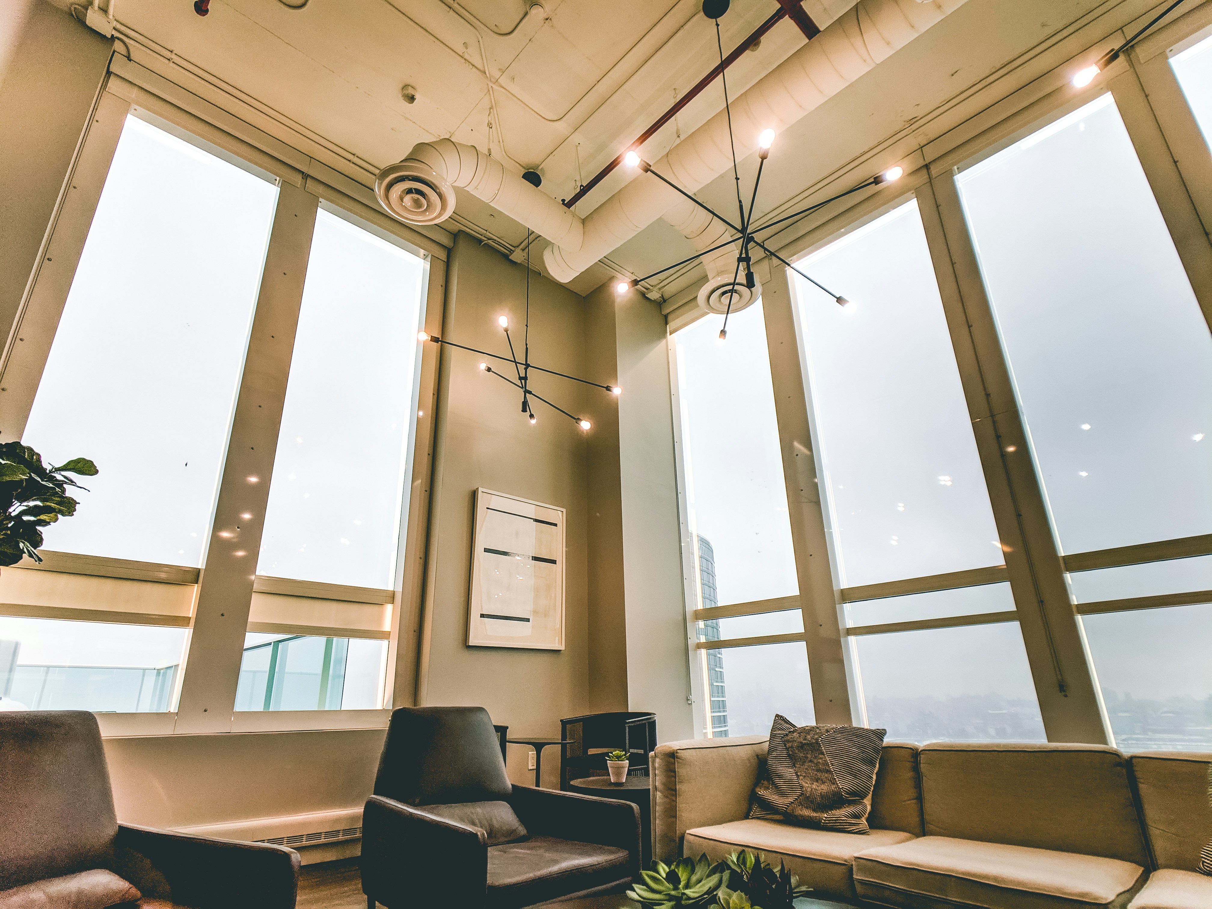 gray and black sofas